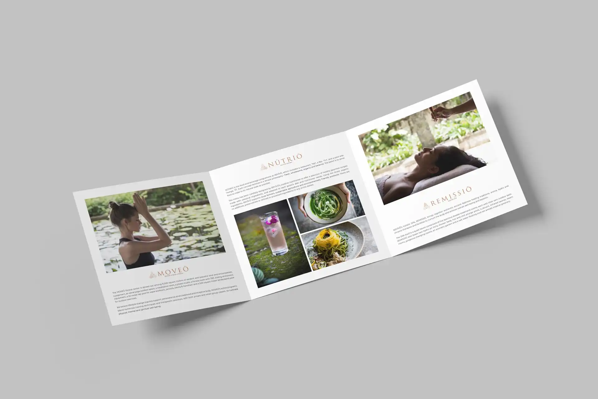 Trifold brochure